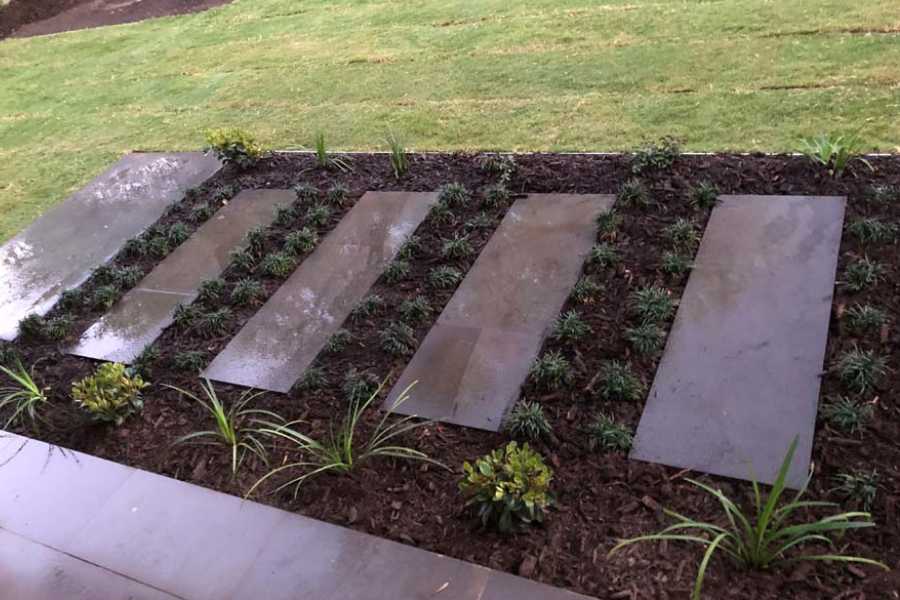 Getting Your Garden Ready for the Summer Heat in Adelaide