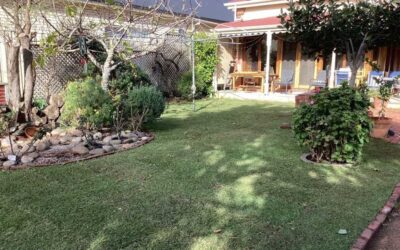 Gearing Up for Summer with October Garden Prep in Adelaide